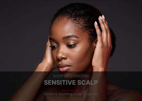 Herbs & Oils Haircare Essentials